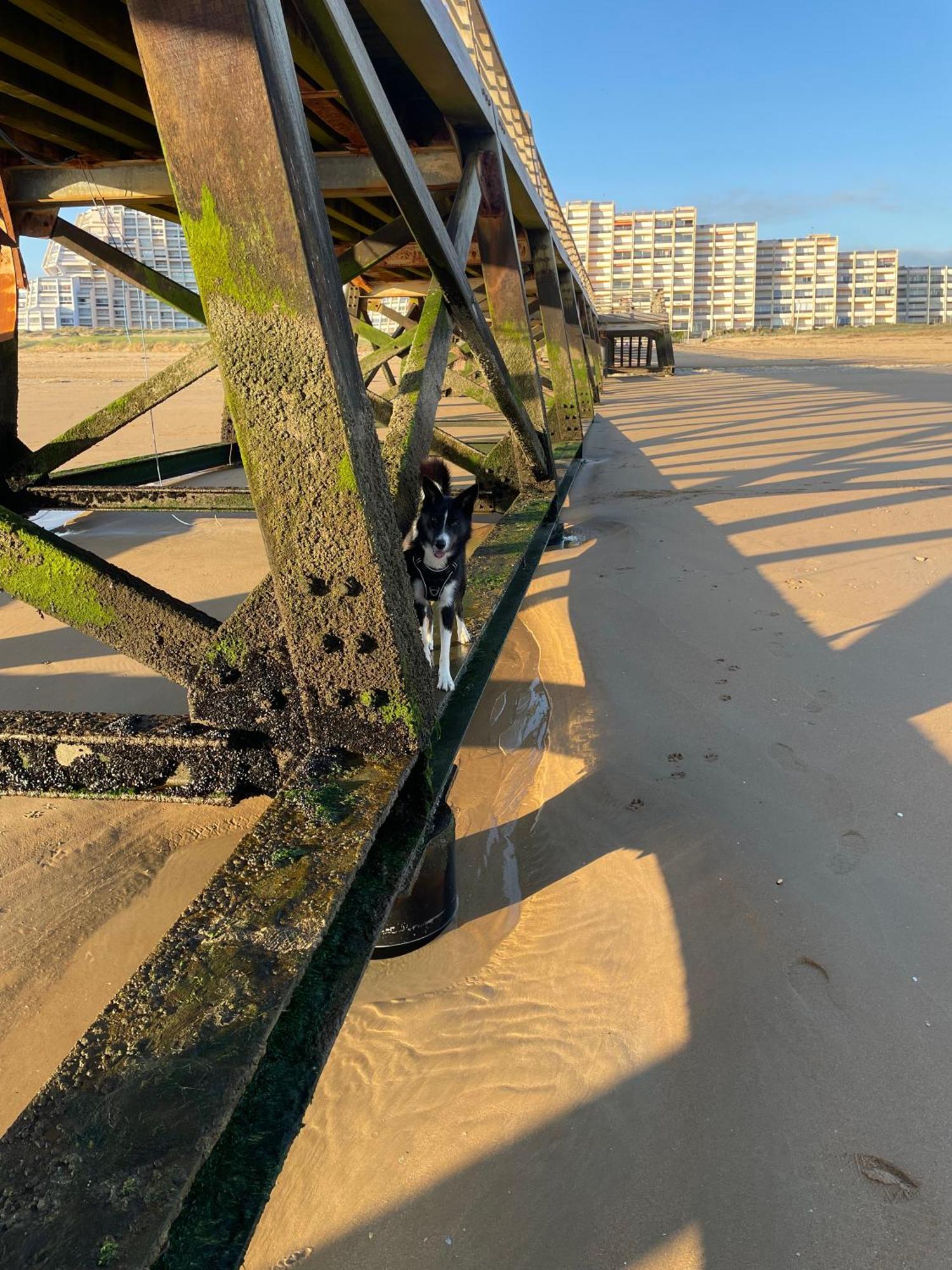 The Spot - 200M De La Plage Saint-Hilaire-de-Riez ภายนอก รูปภาพ